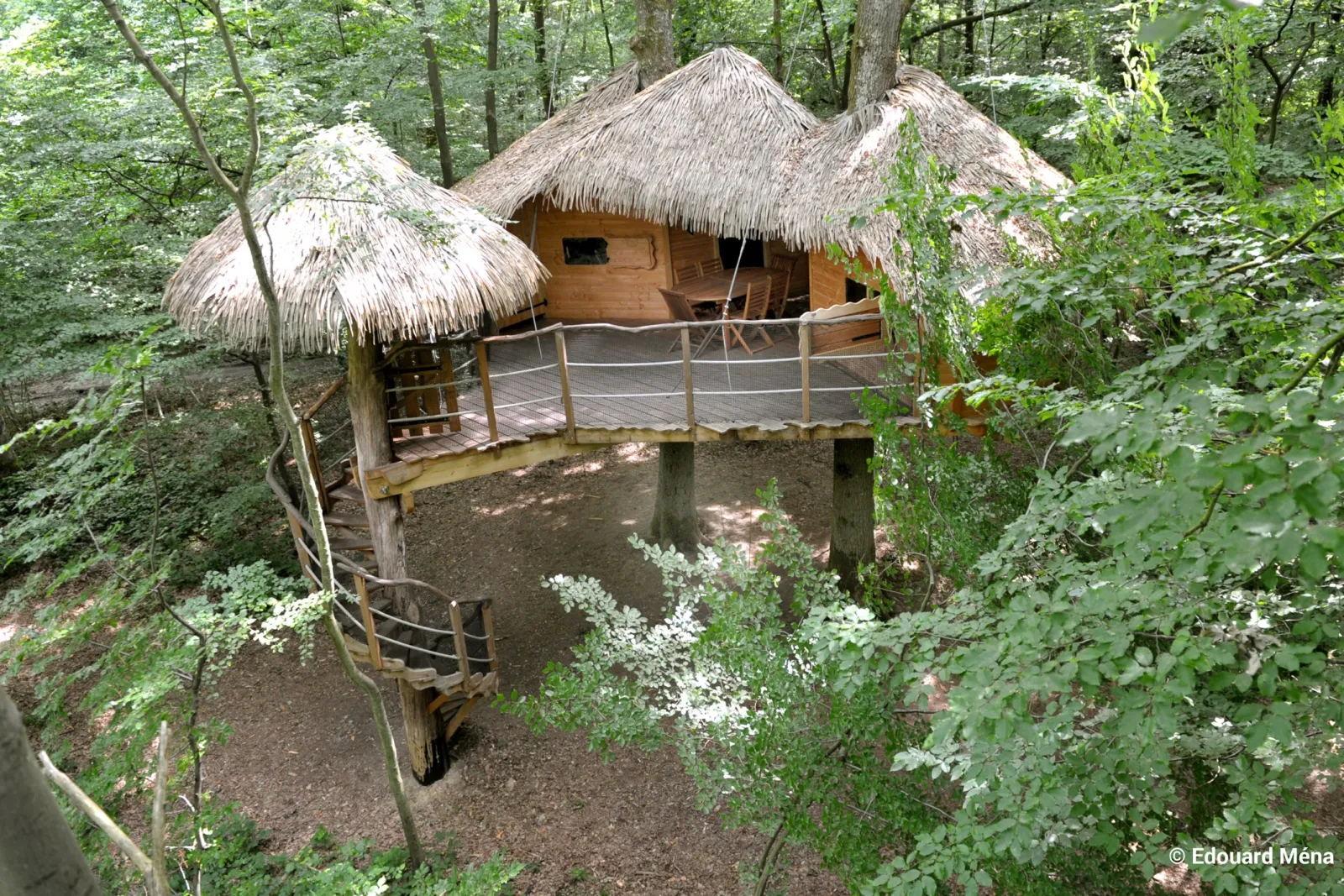 Cabane Robin des Bois à Saint-Germain-des-Essourts, photo 5
