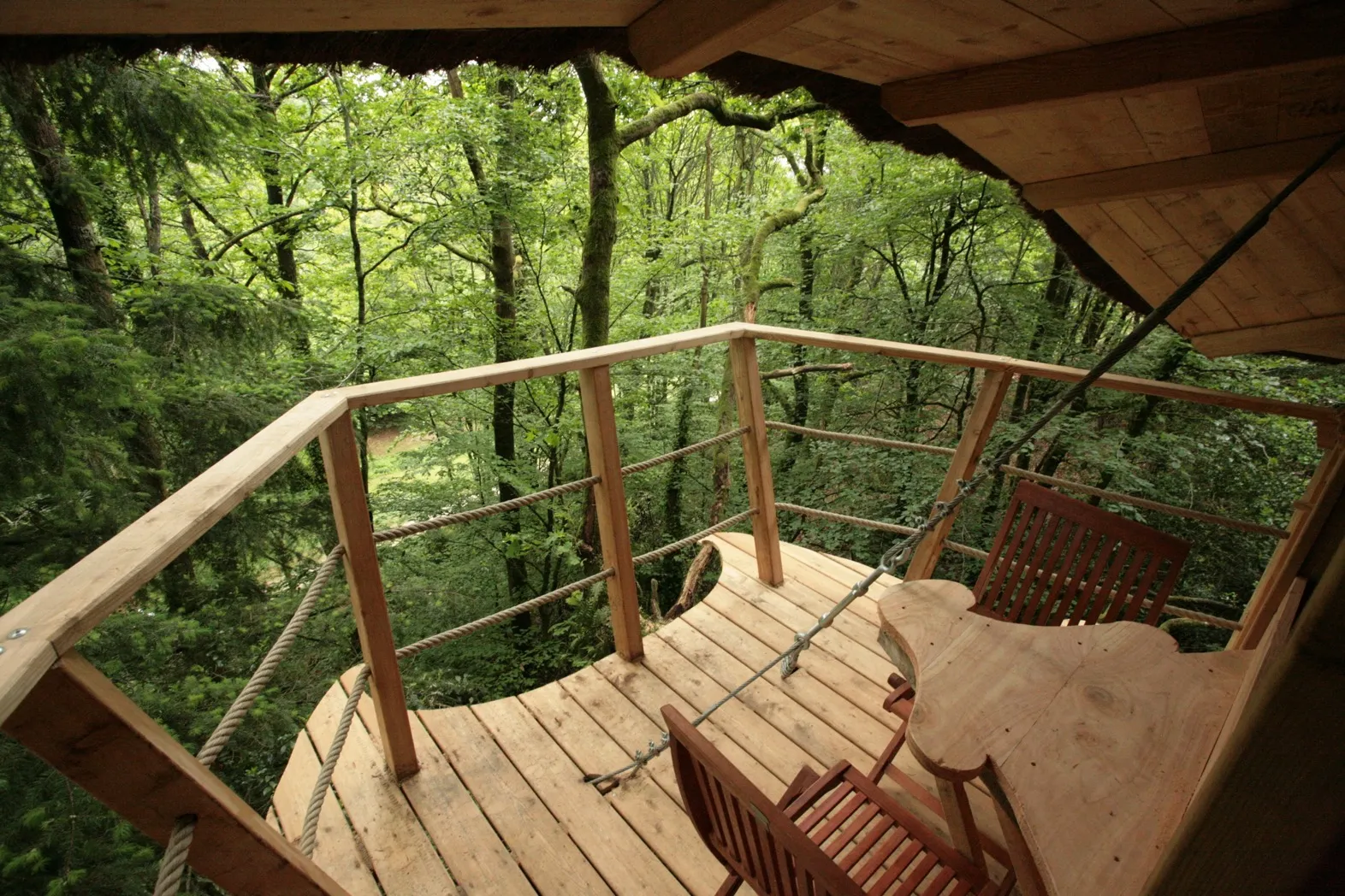 Cabane Roch'ell, cabane dans les arbres à Quistinic