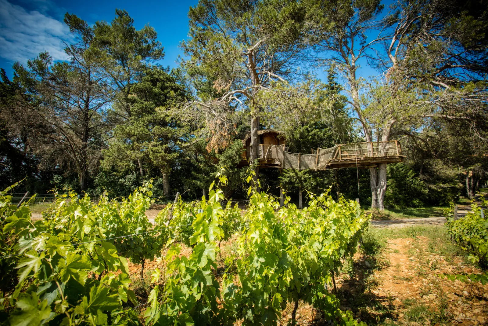 Cabane Rollier à Castries, photo 2