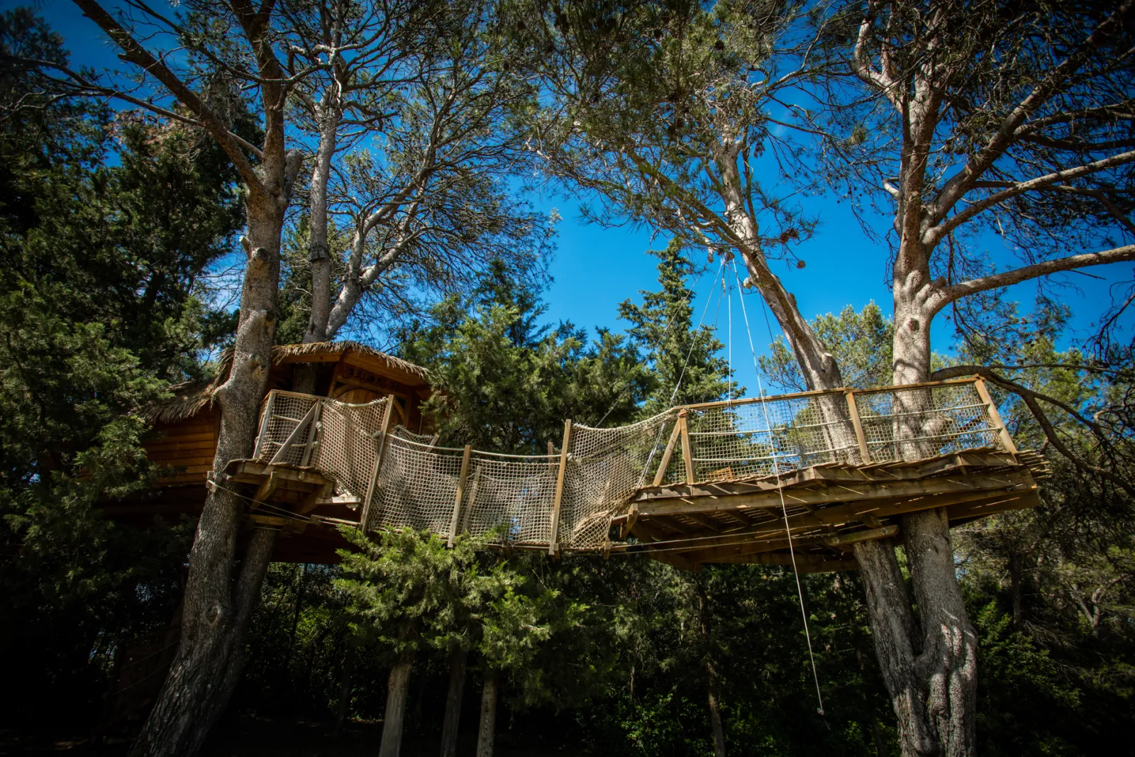 Cabane Rollier à Castries, photo 3