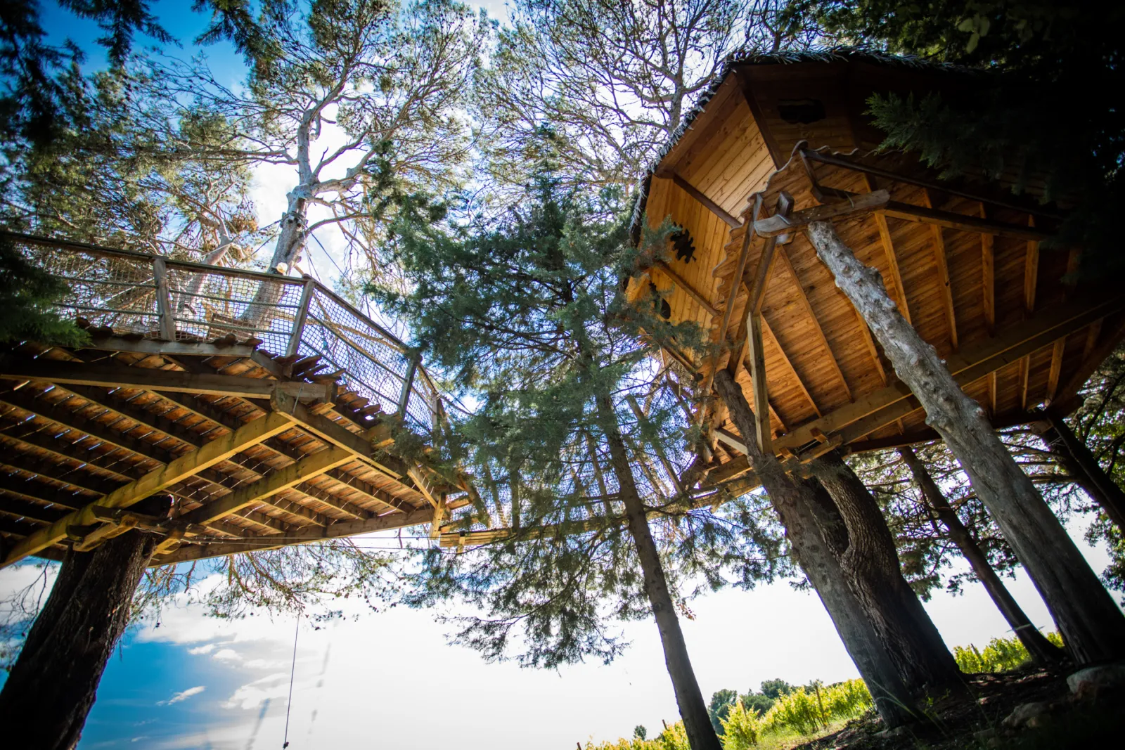 Cabane Rollier à Castries, photo 4