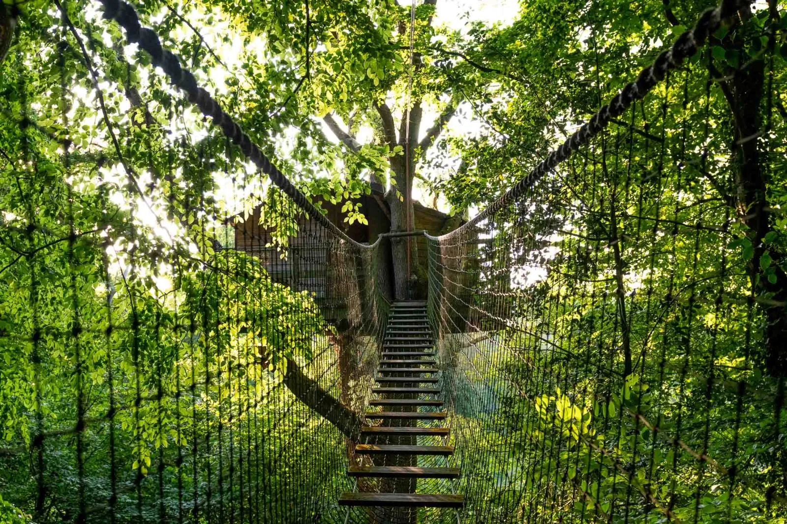 Cabane Rossignol, cabane dans les arbres à Saint-Pierre-Azif