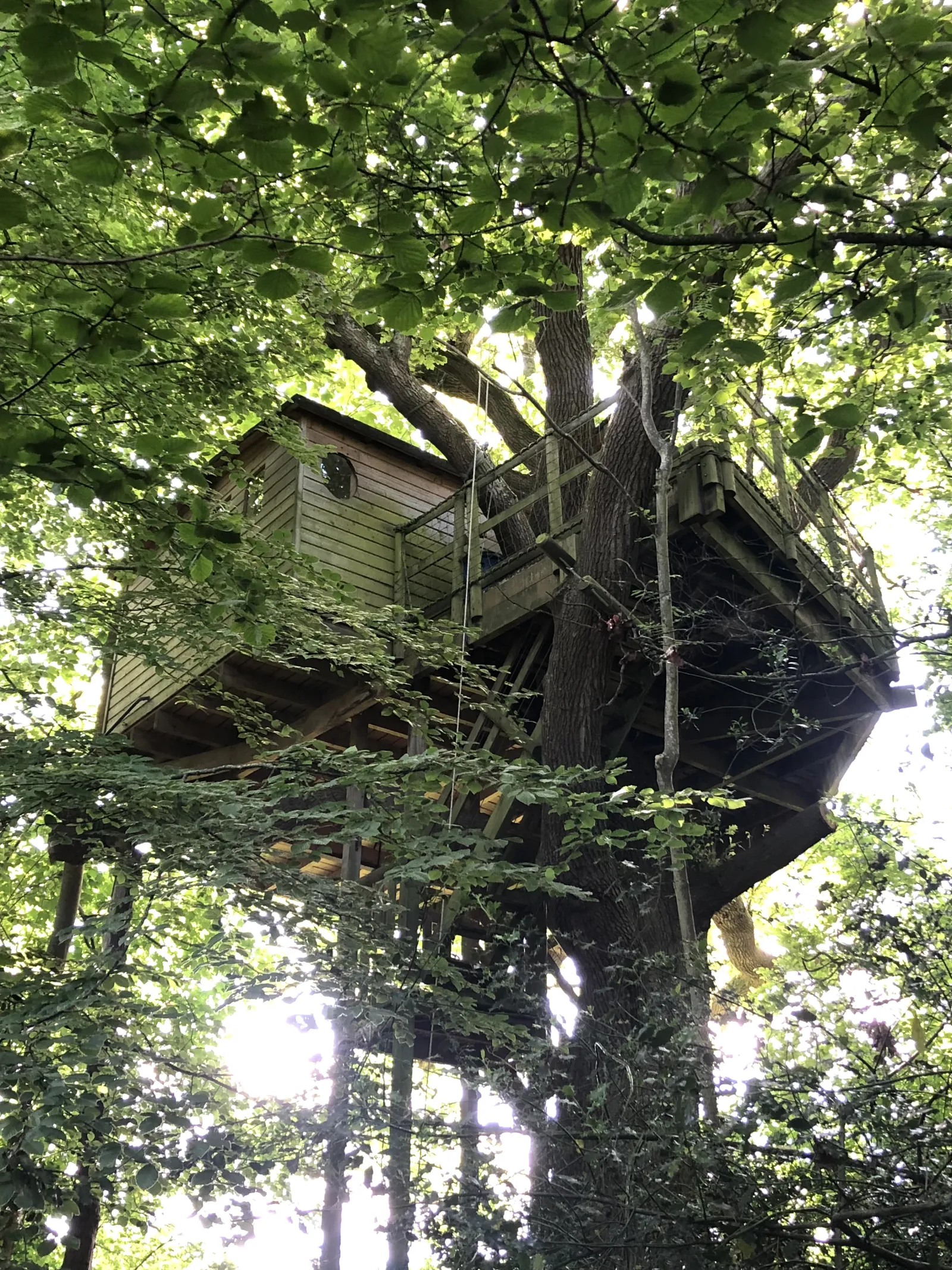 Cabane Rouge Gorge, cabane dans les arbres à Saint-Pierre-Azif