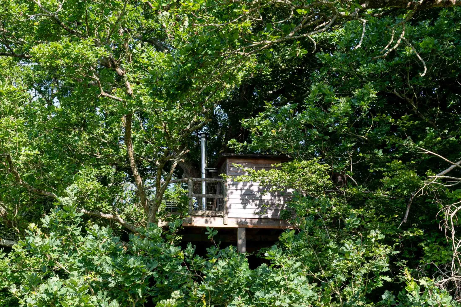 Cabane Rouge Gorge à Saint-Pierre-Azif, photo 2