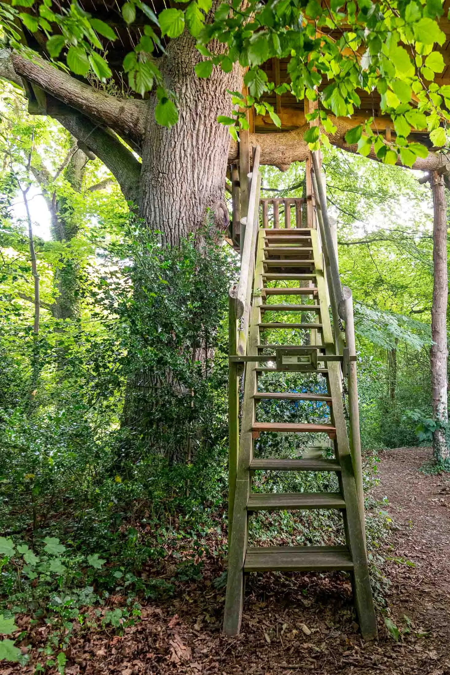 Cabane Rouge Gorge à Saint-Pierre-Azif, photo 3