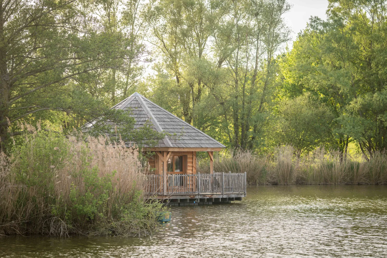 Cabane Ruche à Bâgé-Dommartin, photo 2