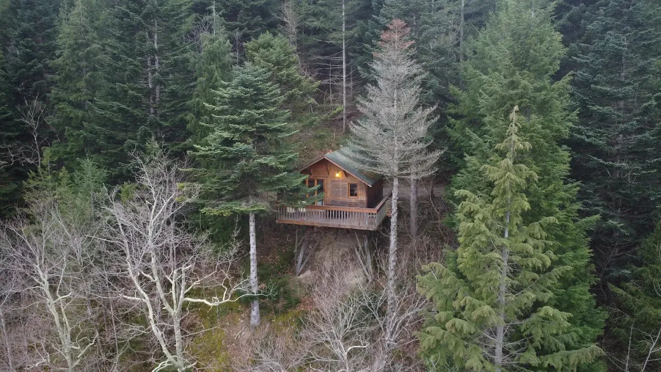 Cabane Séquoïa, cabane dans les arbres à Prats-de-Mollo-la-Preste