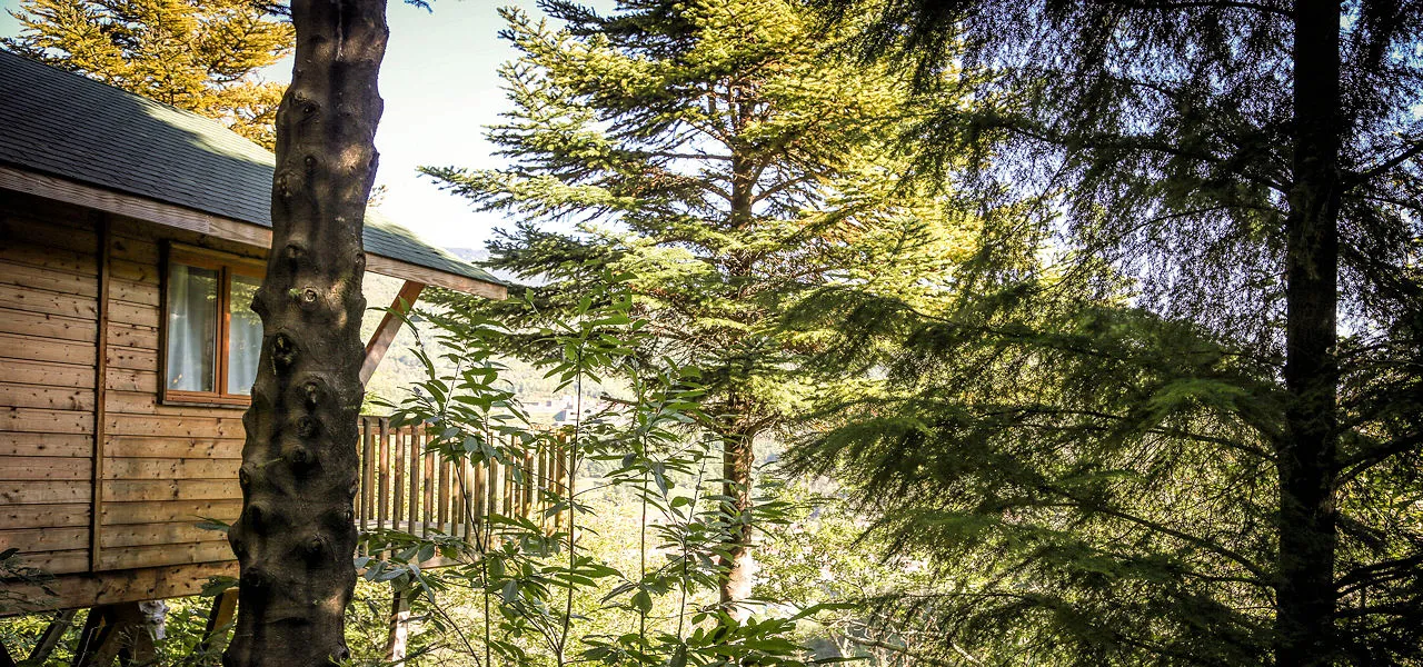 Cabane Séquoïa à Prats-de-Mollo-la-Preste, photo 4