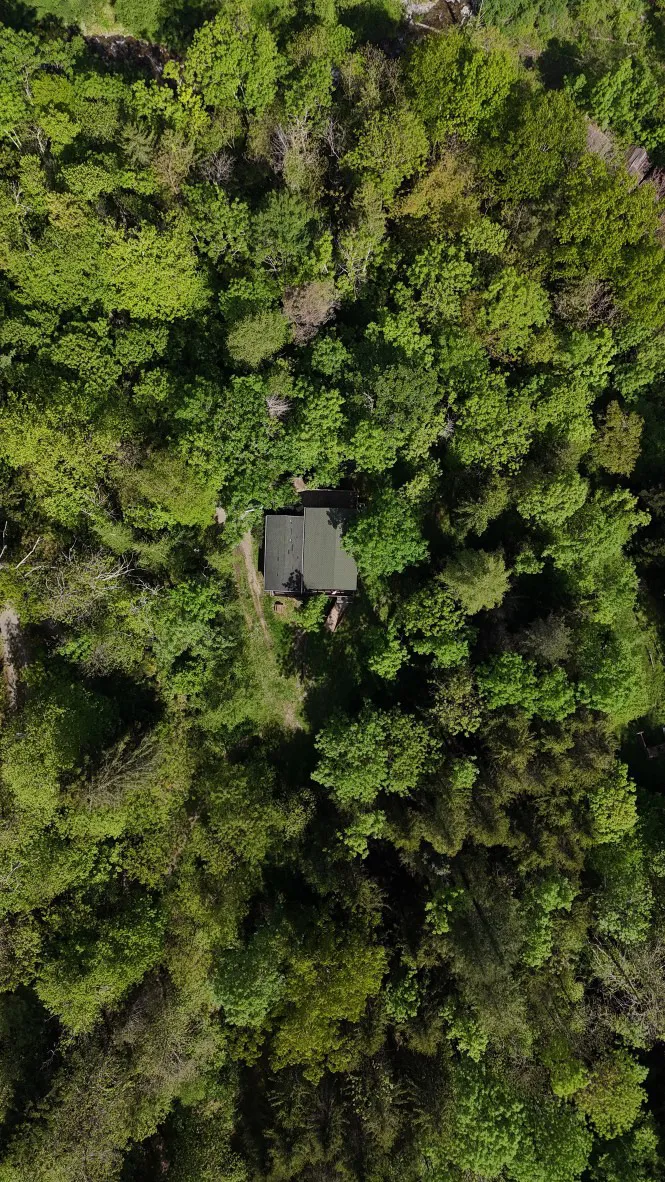Cabane Séquoïa à Prats-de-Mollo-la-Preste, photo 5