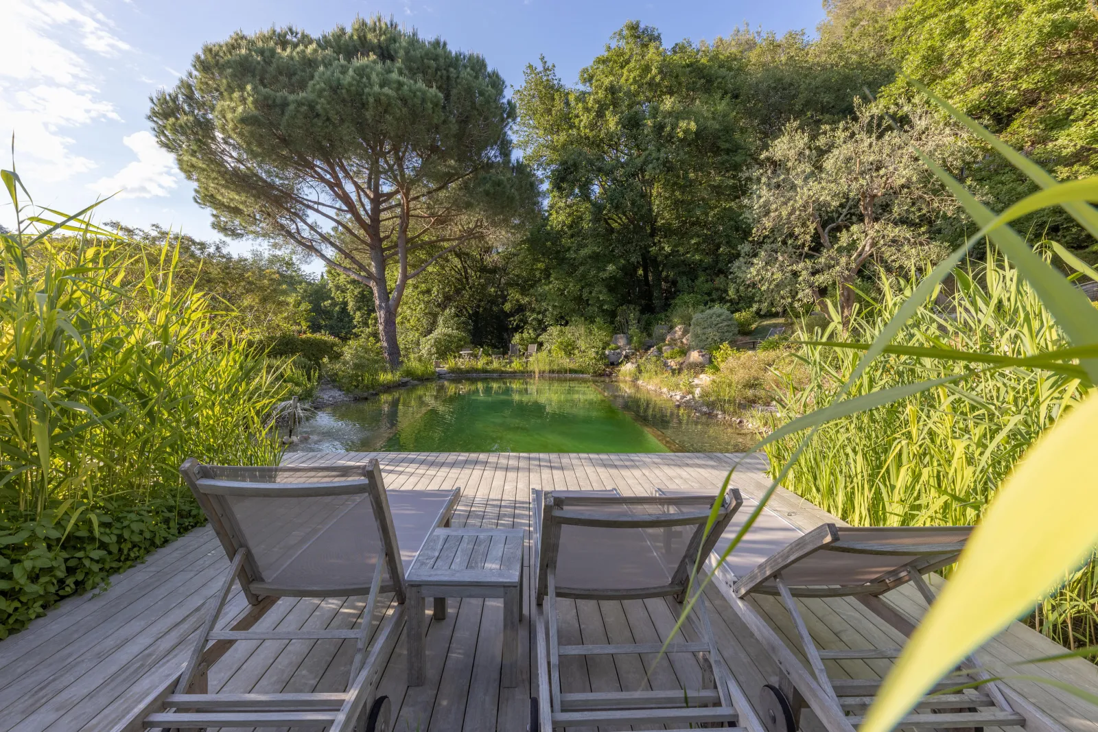 Cabane Shere Khan à Saint-Paul-de-Vence, photo 2