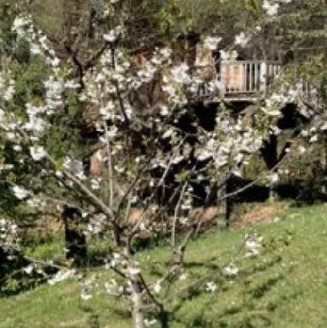Cabane Shere Khan à Saint-Paul-de-Vence, photo 5