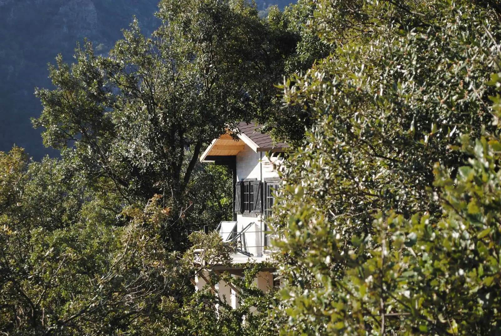Cabane Sorène, cabane au sol à Pied-de-Borne