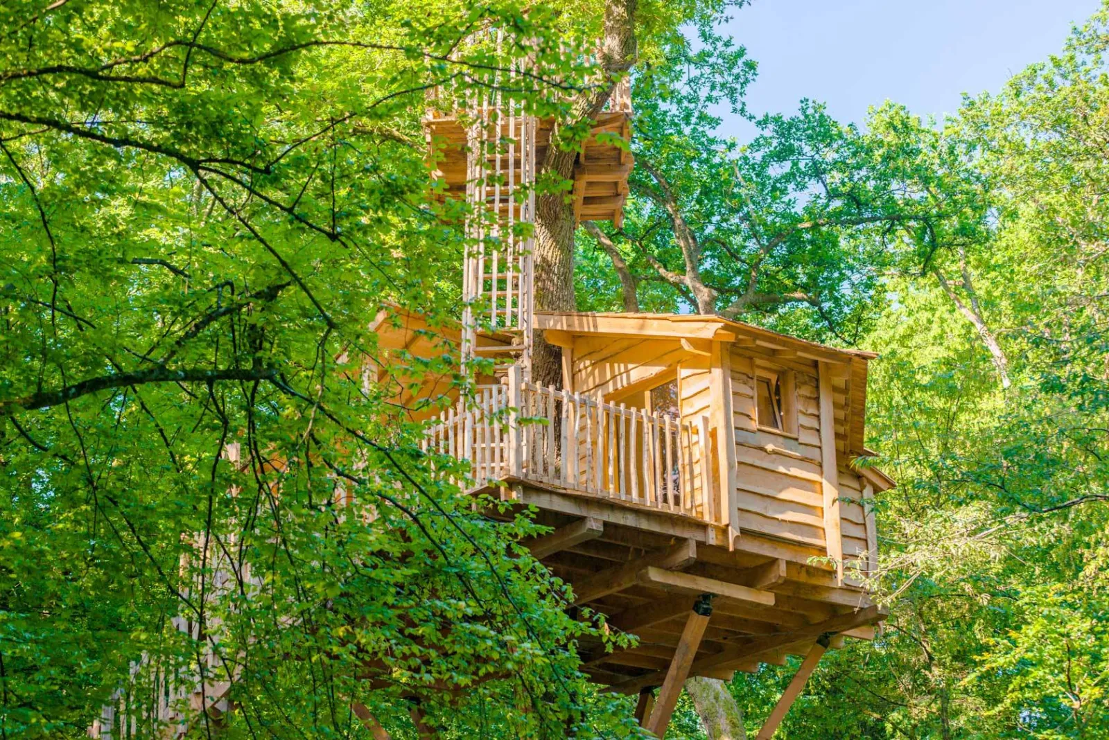 Cabane Spa Apesanteur à Joncherey, photo 3