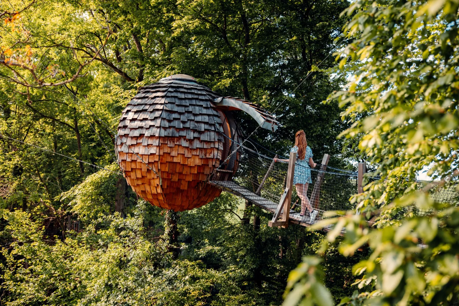 Cabane Spa Cocoon Étoilé, cabane dans les arbres à Rosoy-en-Multien