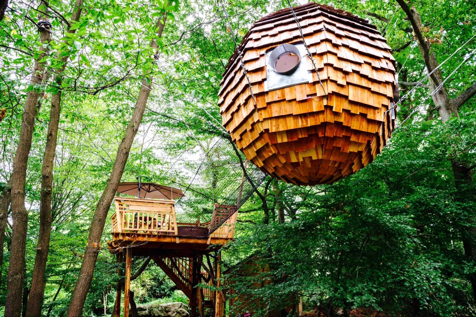 Cabane Spa Cocoon Plume à Rosoy-en-Multien, photo 3
