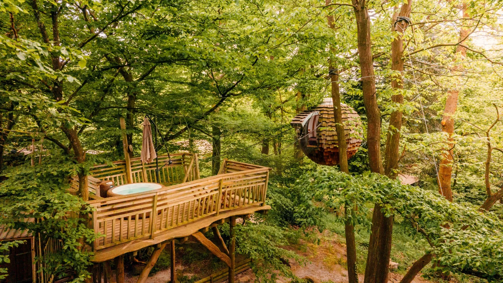 Cabane Spa Cocoon Plume à Rosoy-en-Multien, photo 5