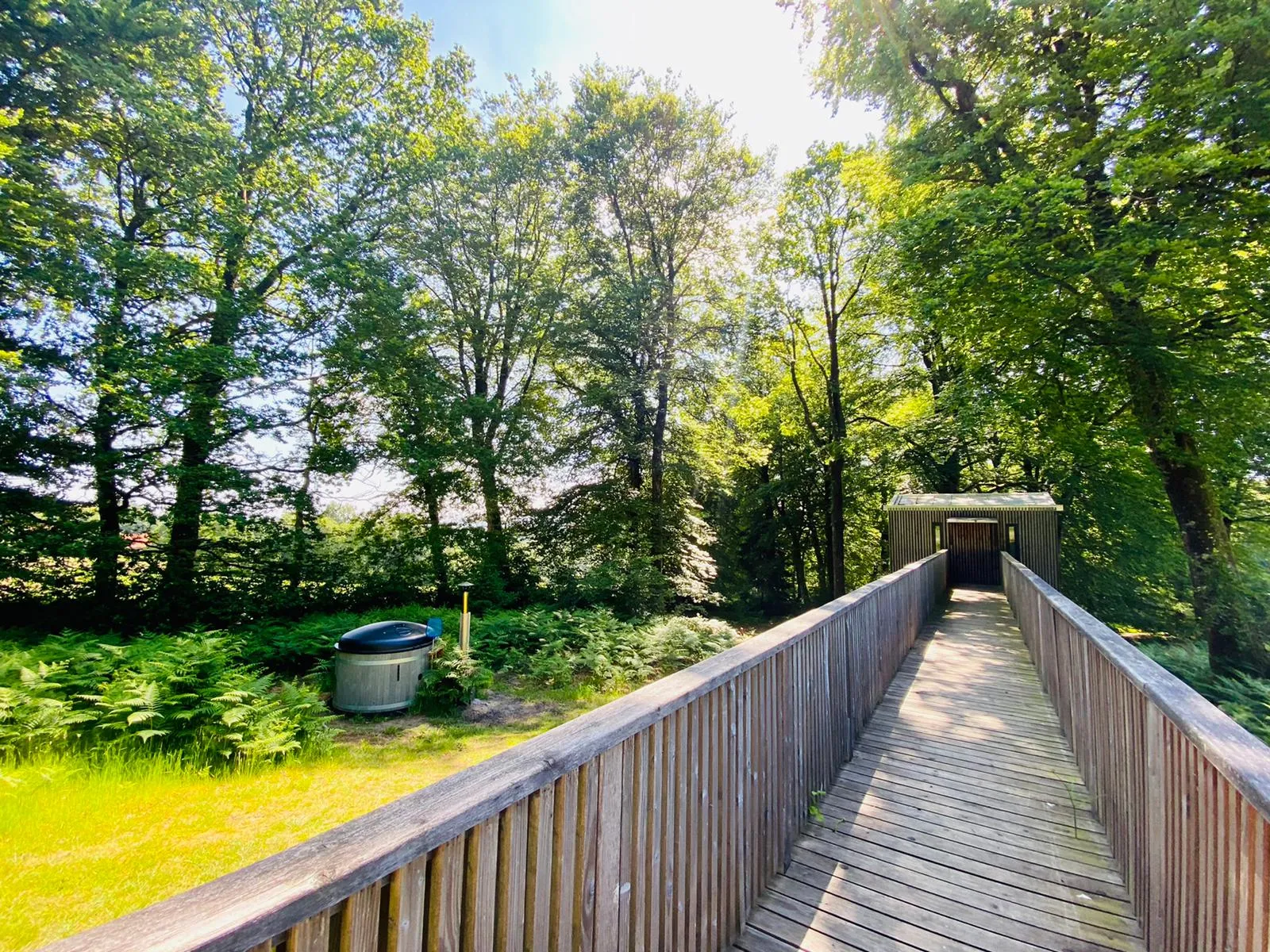 Cabane Spa dans les Arbres 4 m, cabane dans les arbres à Noues de Sienne