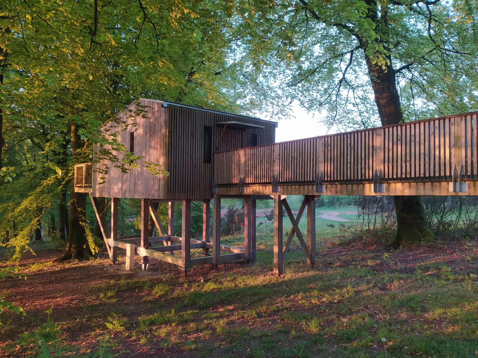 Cabane Spa dans les Arbres 4 m à Noues de Sienne, photo 2
