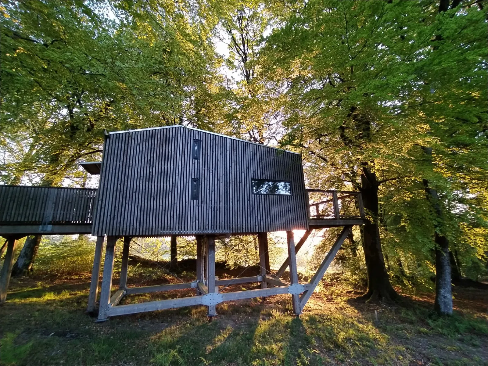 Cabane Spa dans les Arbres 4 m à Noues de Sienne, photo 3
