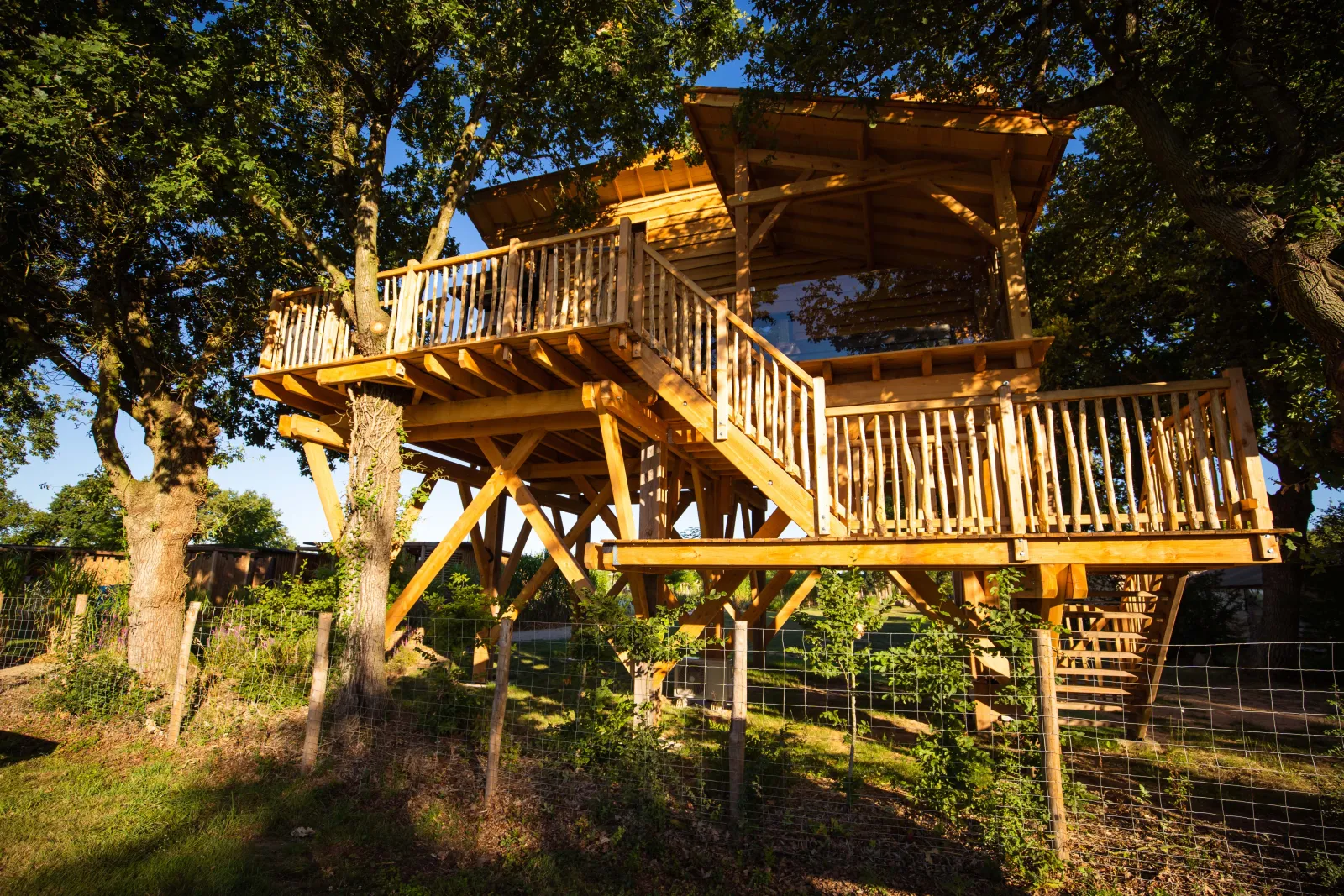 Cabane Spa dans les arbres à Montaigu-Vendée, photo 2