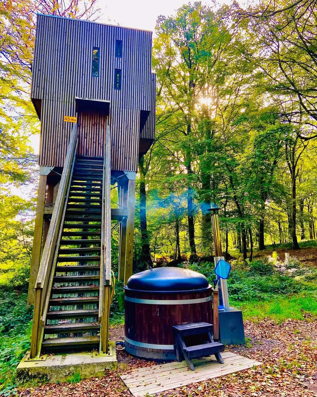 Cabane Spa dans les Arbres à Noues de Sienne, photo 2