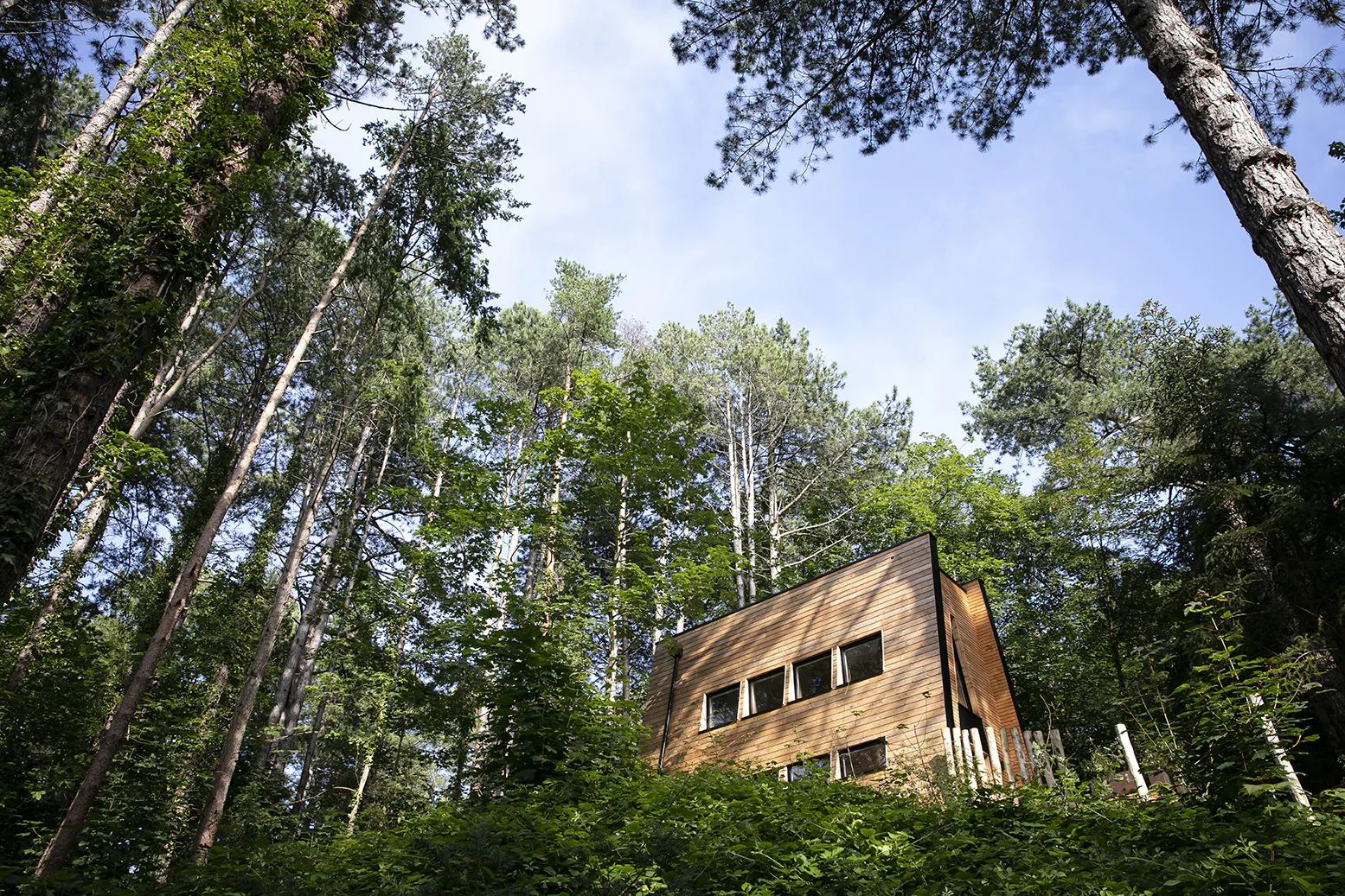 Cabane Spa de Bain de Forêt à Neufchâtel-Hardelot, photo 2