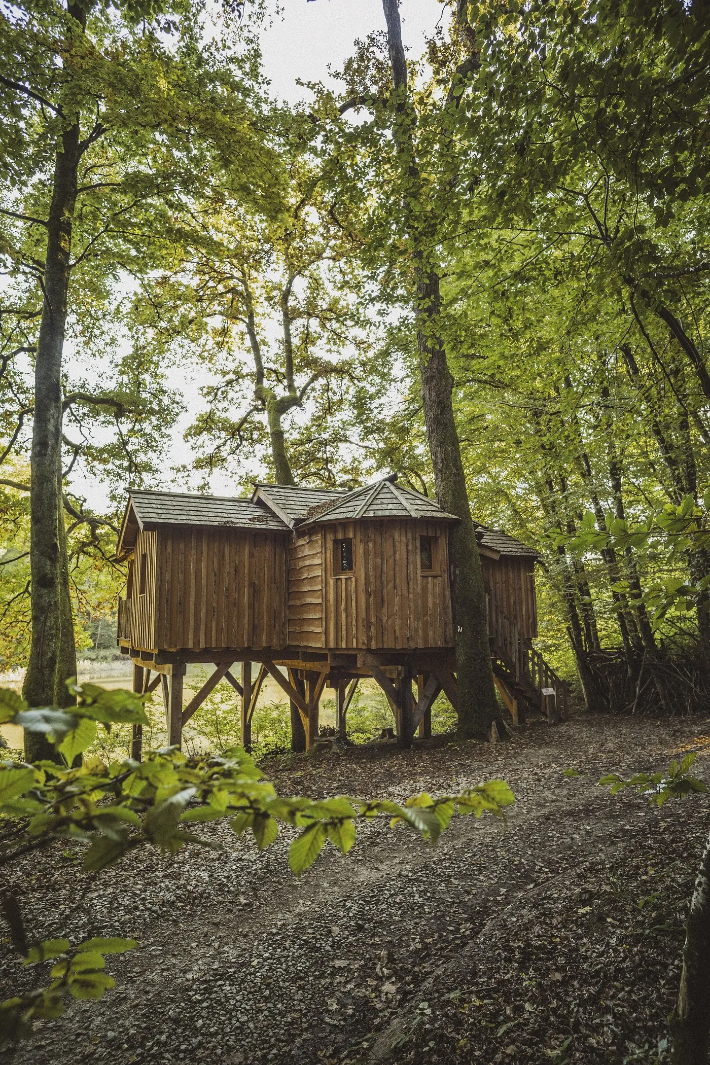 Cabane Spa Découverte à Joncherey, photo 2