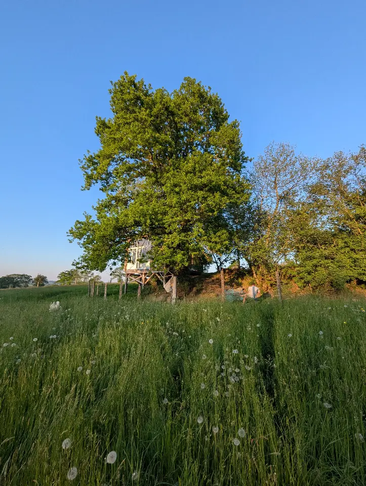 Cabane Spa des Deux Chênes à Avrilly, photo 3