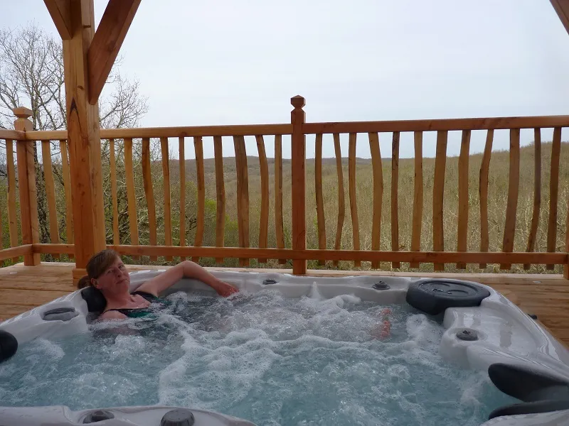 Cabane-Spa des Figuiers à Salignac-Eyvigues, photo 2