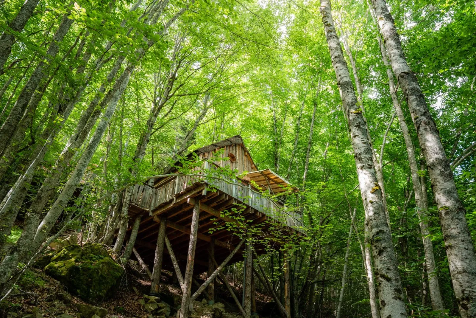 Cabane Spa des Trolls, cabane sur pilotis à Saint-Léger-les-Mélèzes