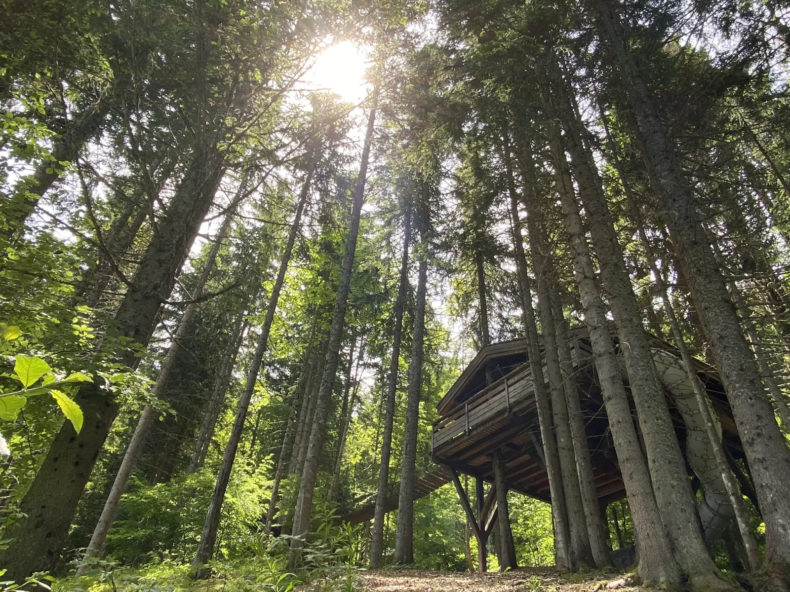 Cabane Spa du Ruisseau à Saint-Nicolas-la-Chapelle, photo 2