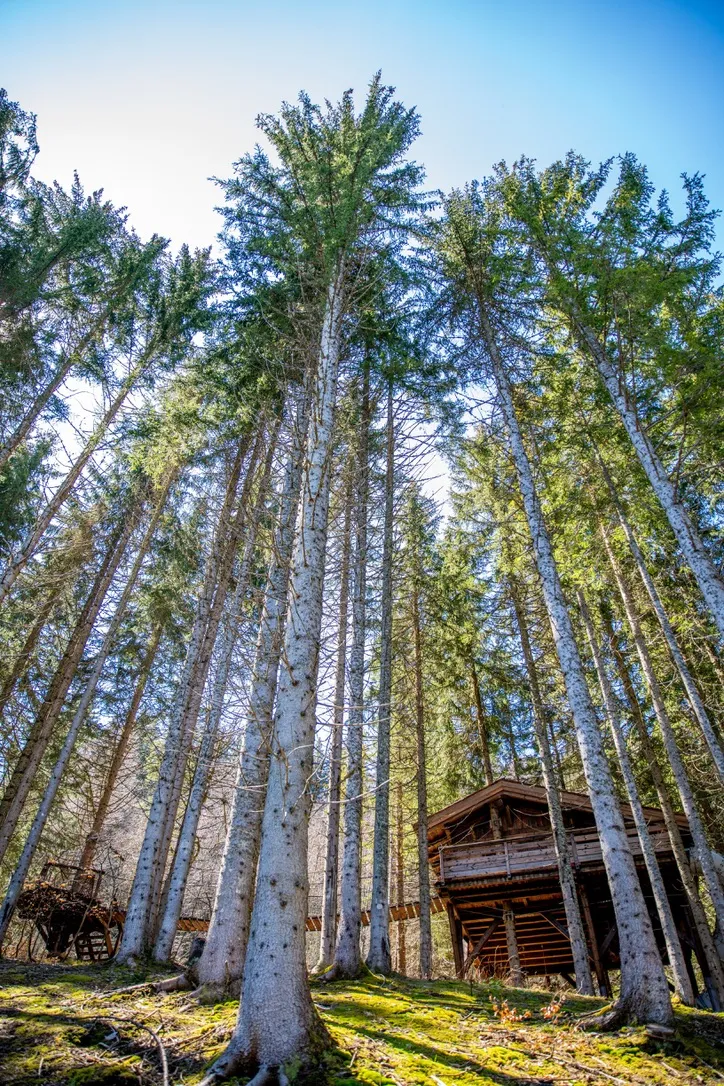 Cabane Spa du Ruisseau à Saint-Nicolas-la-Chapelle, photo 3
