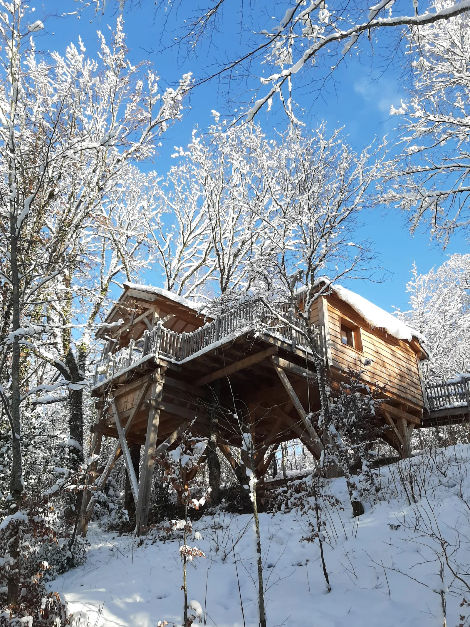 Cabane Spa Écureuil à Bonlieu, photo 5