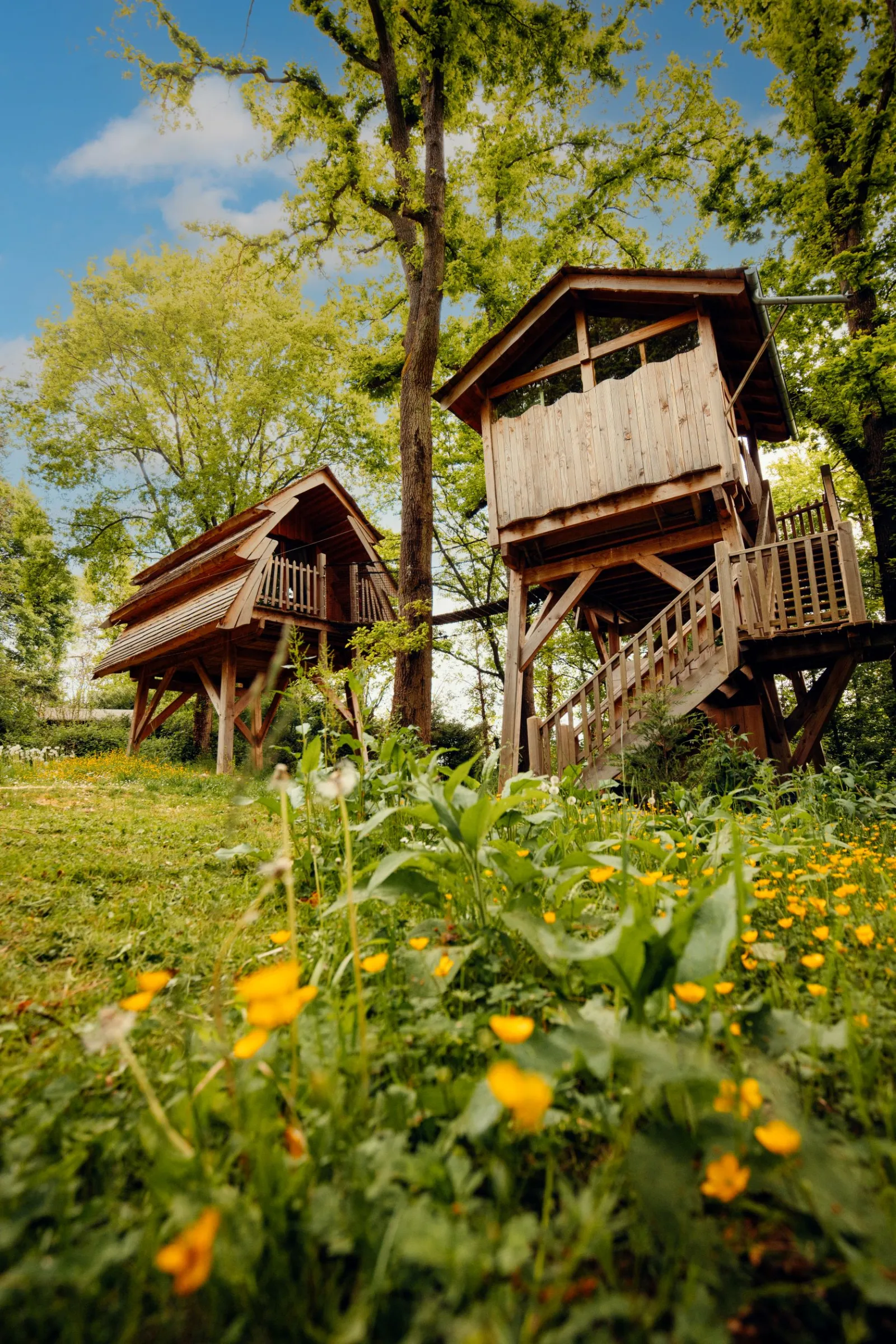 Cabane Spa Enchantée, cabane dans les arbres à Rosoy-en-Multien