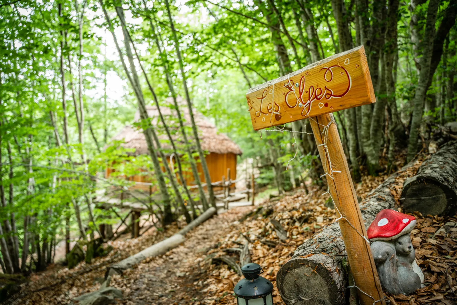 Cabane Spa Les Elfes à Saint-Léger-les-Mélèzes, photo 2