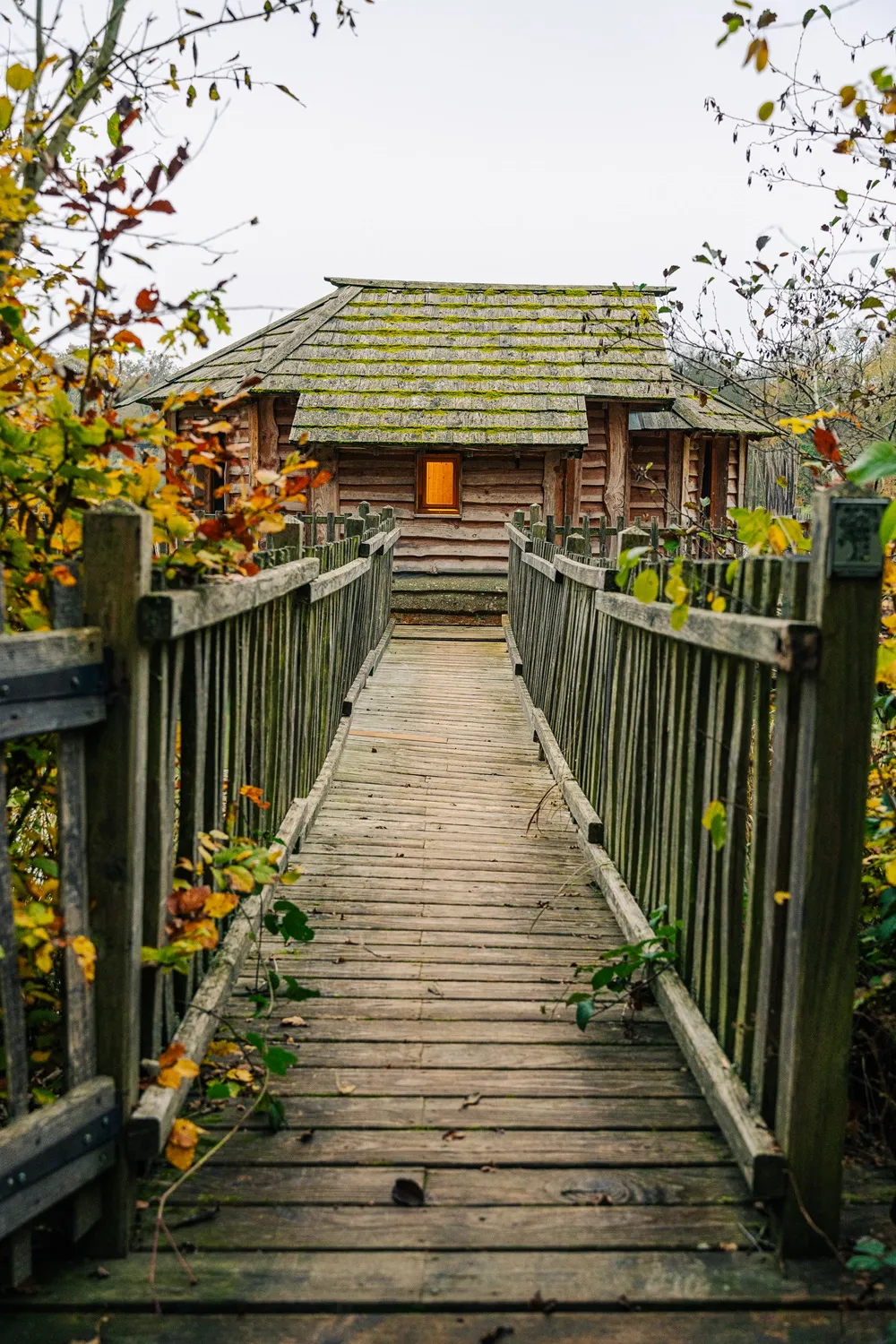 Cabane Spa Mirage à Joncherey, photo 3