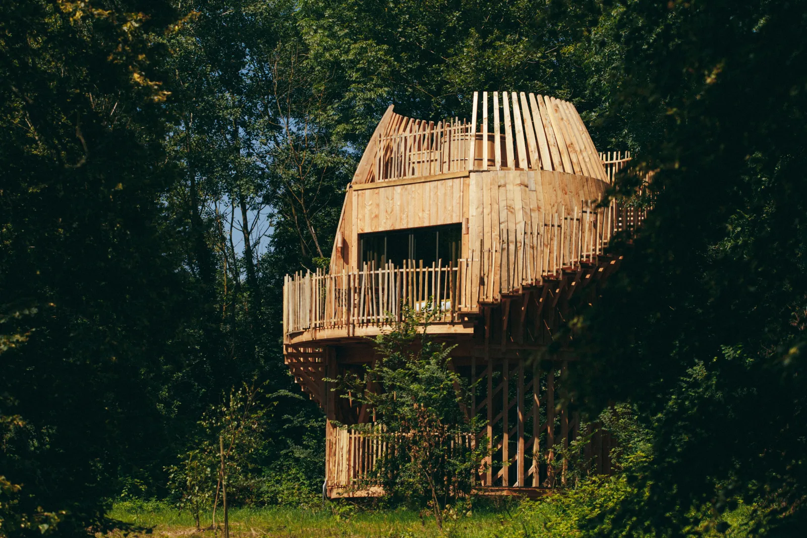 Cabane Spa Roseau à Chassey-lès-Montbozon, photo 4