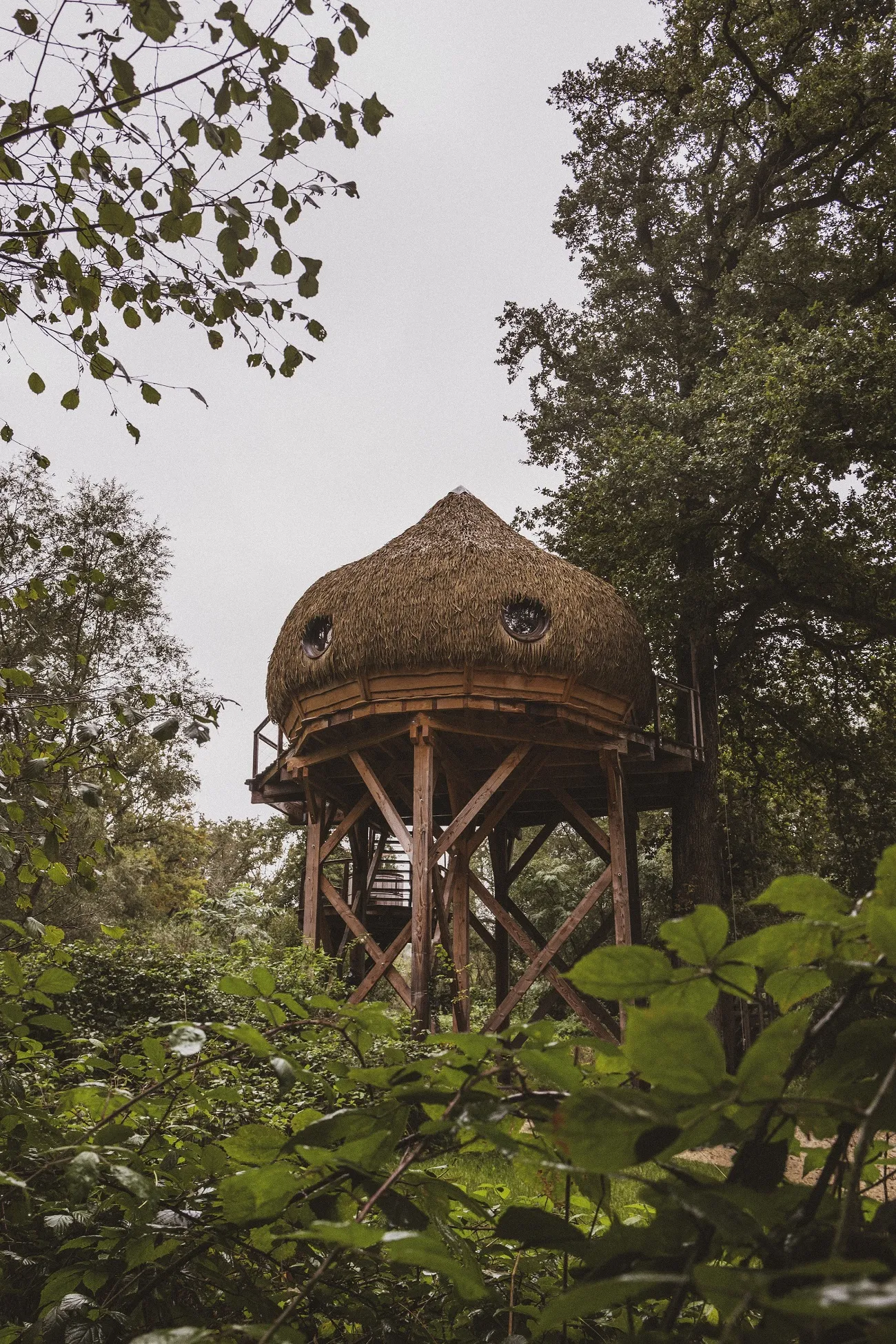 Cabane Spa Sensations, cabane dans les arbres à Chassey-lès-Montbozon