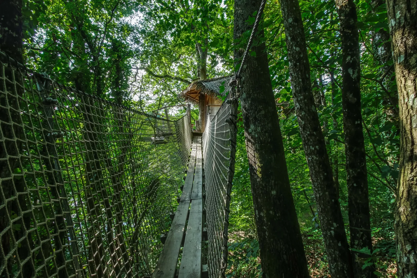 Cabane Spa Shanghai, cabane dans les arbres à La Baconnière