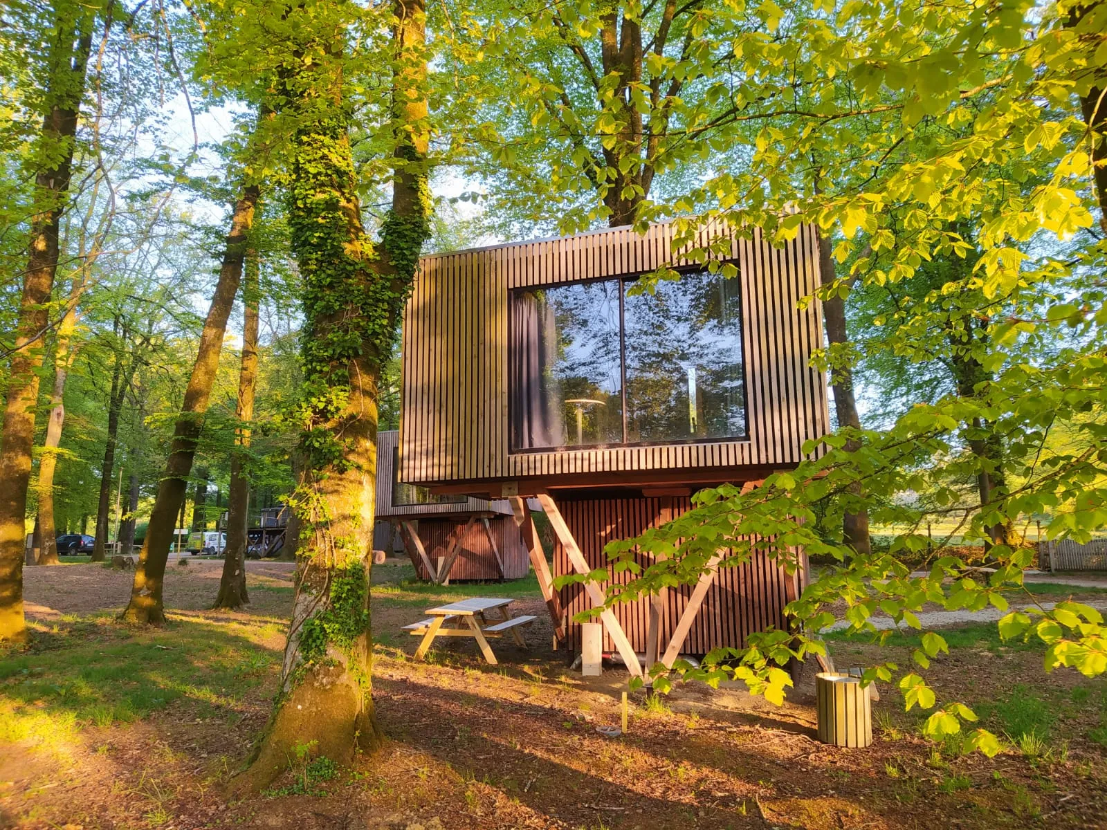 Cabane sur pilotis n°1, cabane sur pilotis à Noues de Sienne