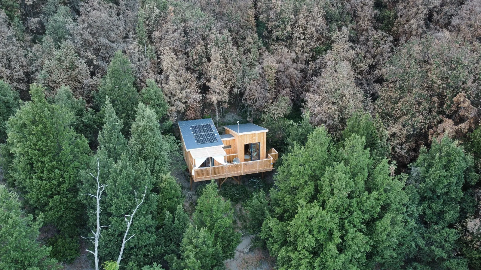 Cabane Surghjente, cabane sur pilotis à Poggio-Marinaccio