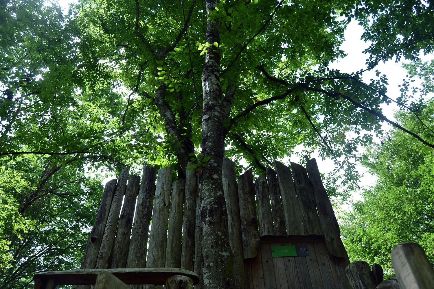 Cabane Tad Goz à Ranchot, photo 5