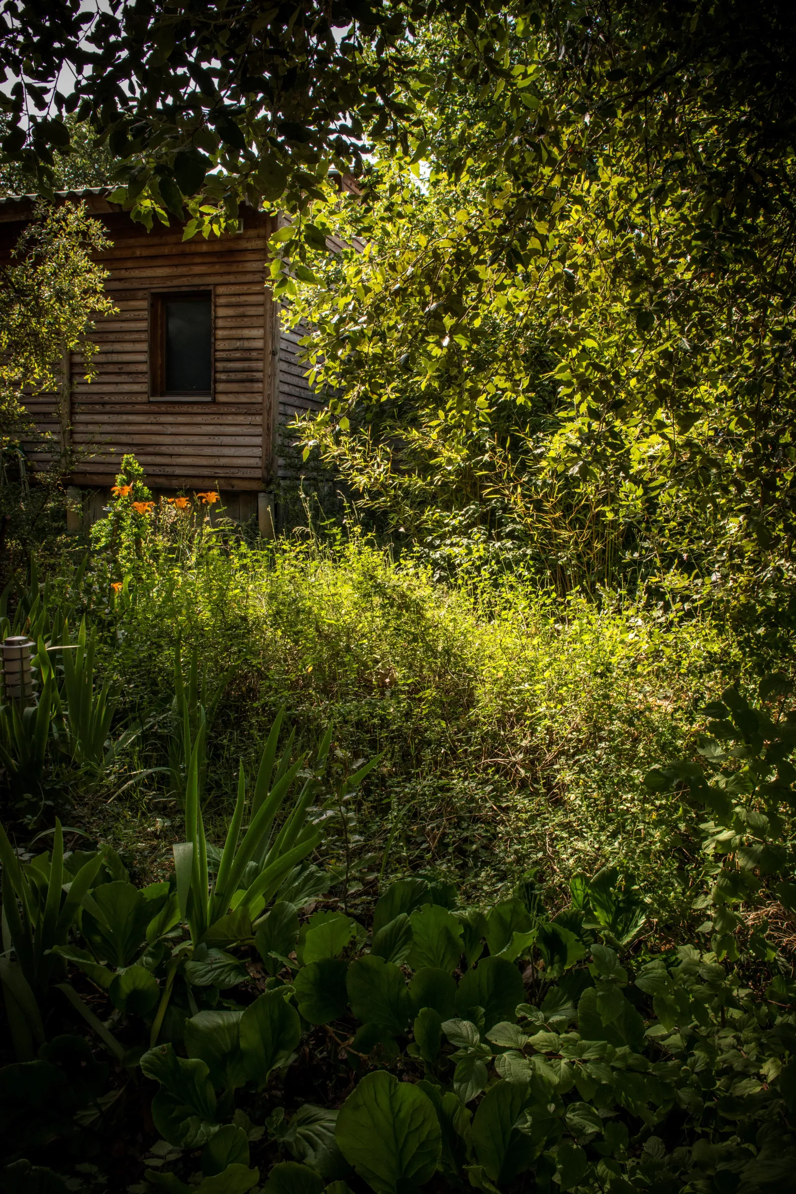 Cabane Te Fiti à Saint-Remèze, photo 4