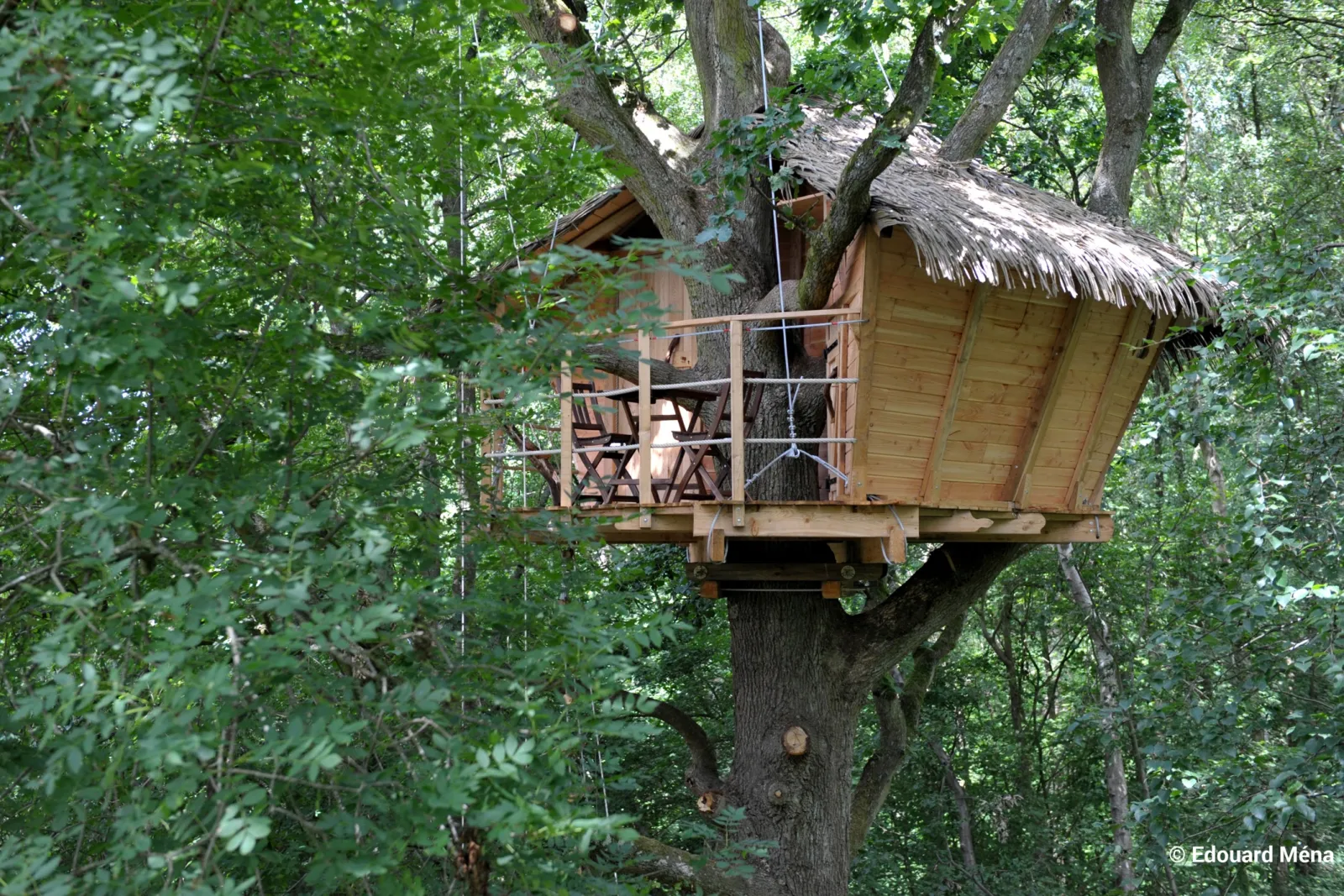 Cabane Terriers, cabane dans les arbres à Saint-Germain-des-Essourts