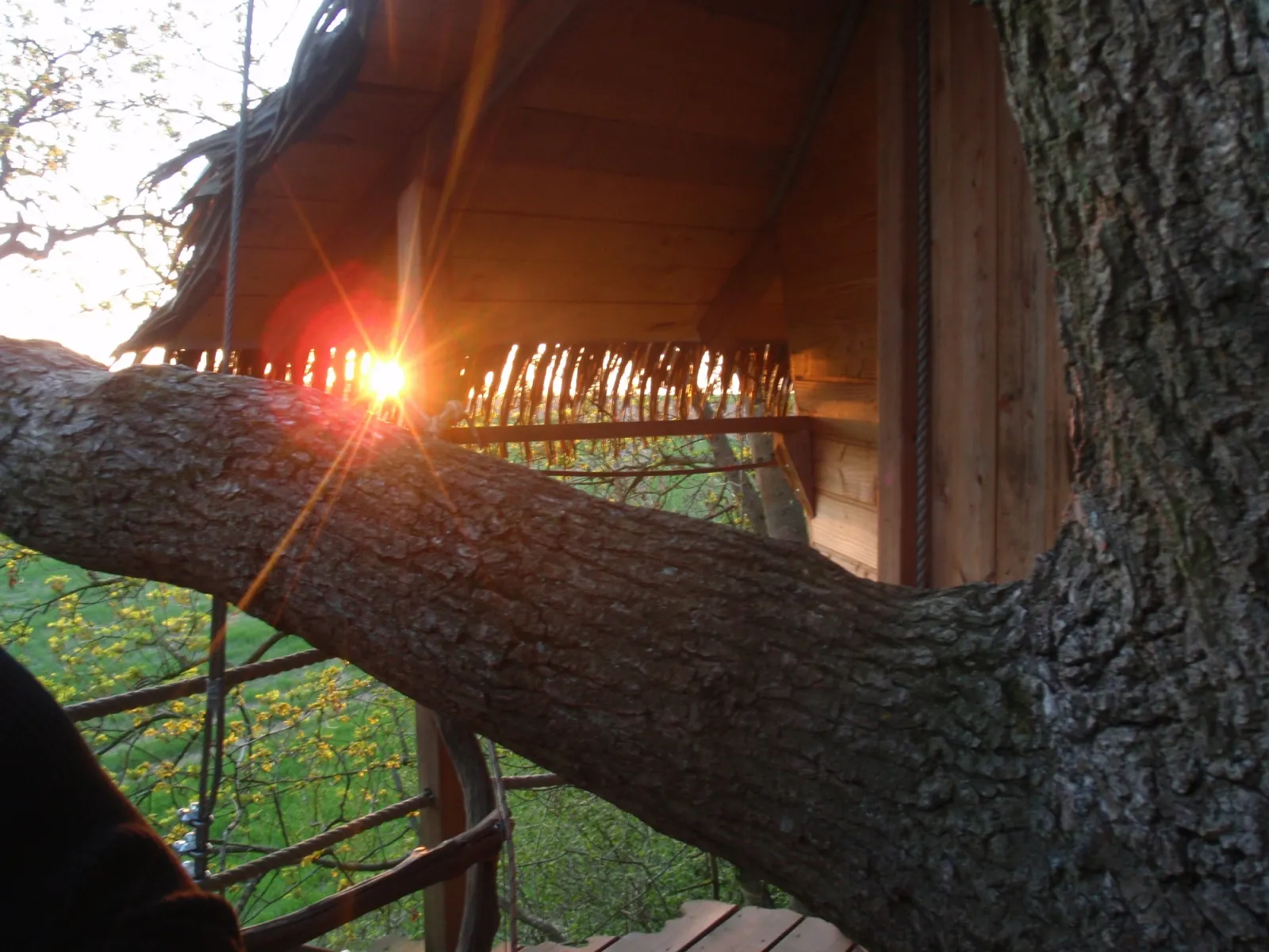 Cabane Terriers à Saint-Germain-des-Essourts, photo 3