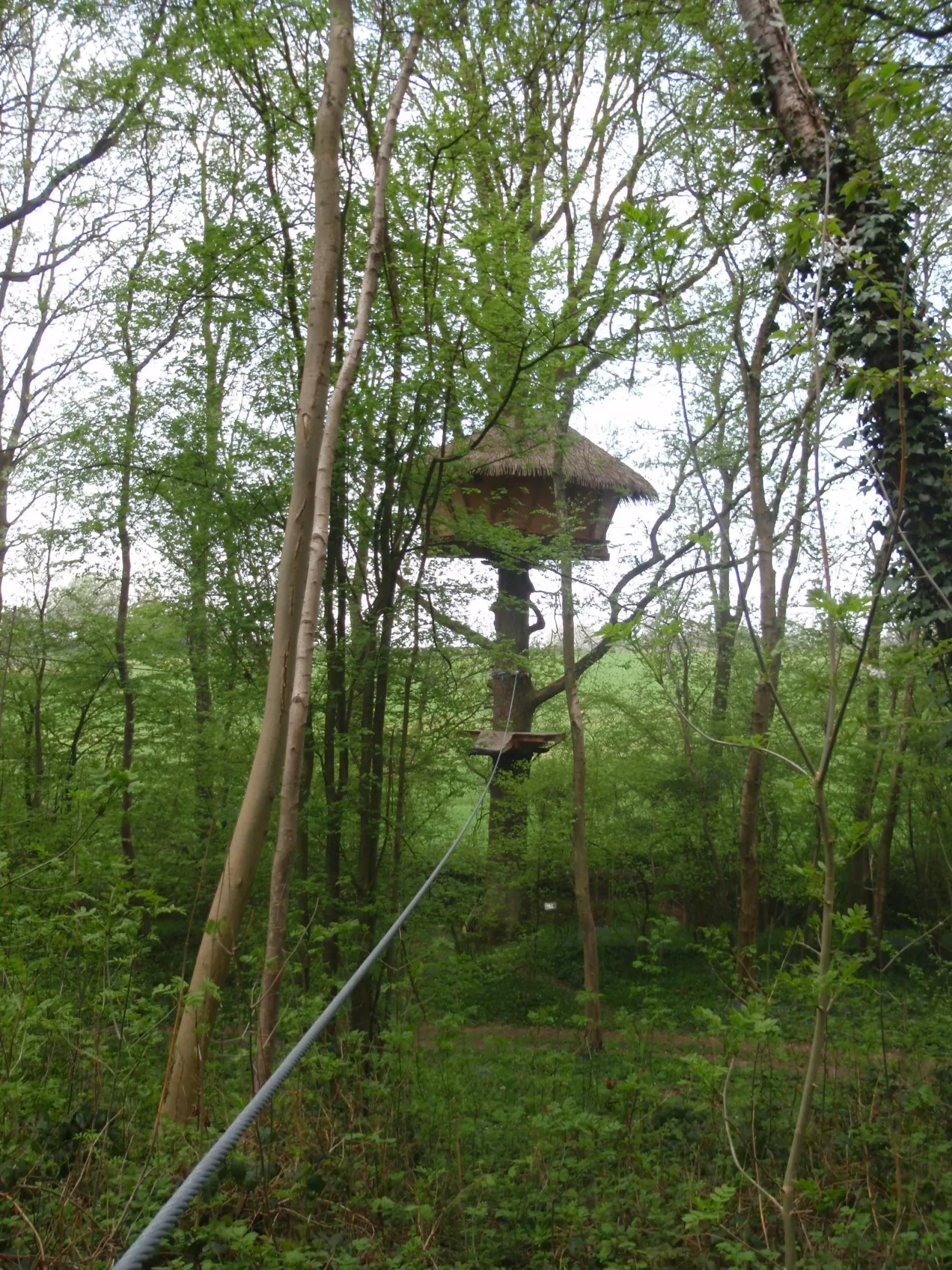 Cabane Terriers à Saint-Germain-des-Essourts, photo 5