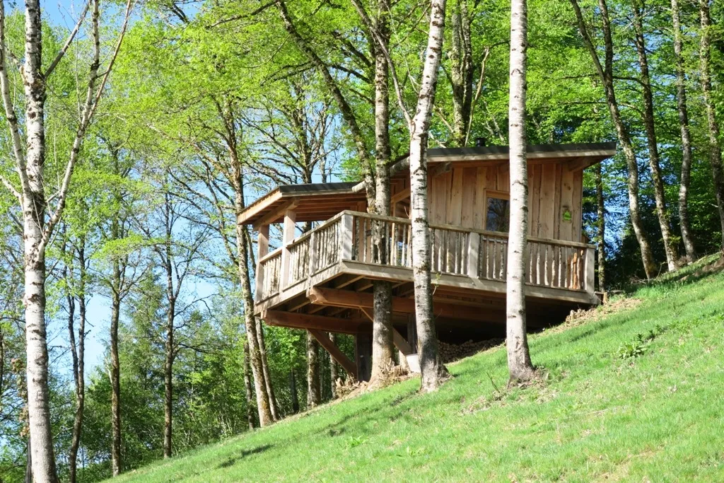 Cabane Tilleul à Singles, photo 2