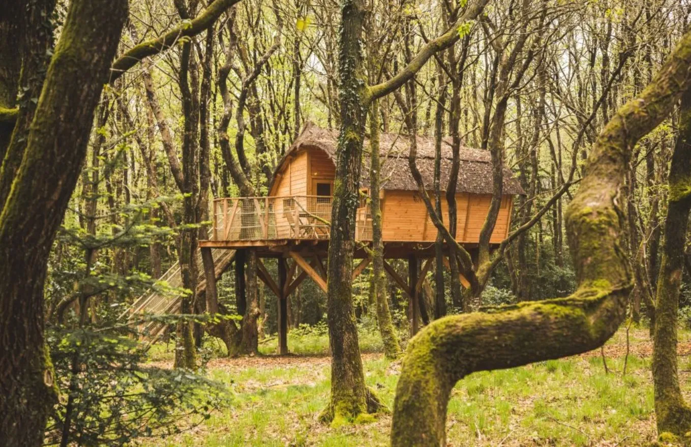 Cabane Tinto, cabane dans les arbres à Pleyber-Christ