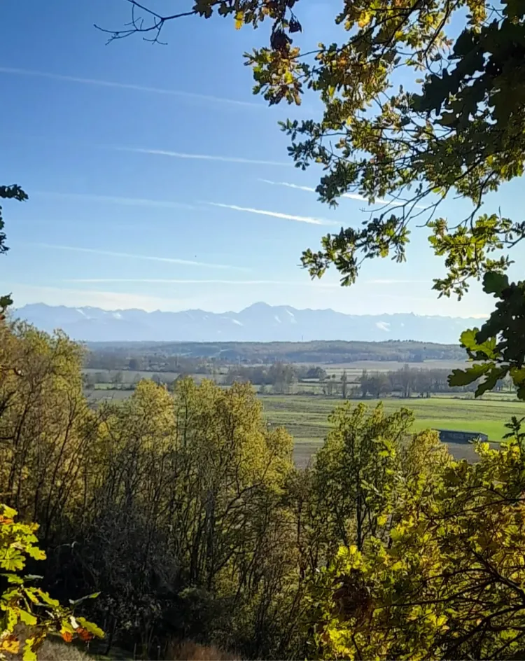 Cabane Toi & Moi à Malabat, photo 5