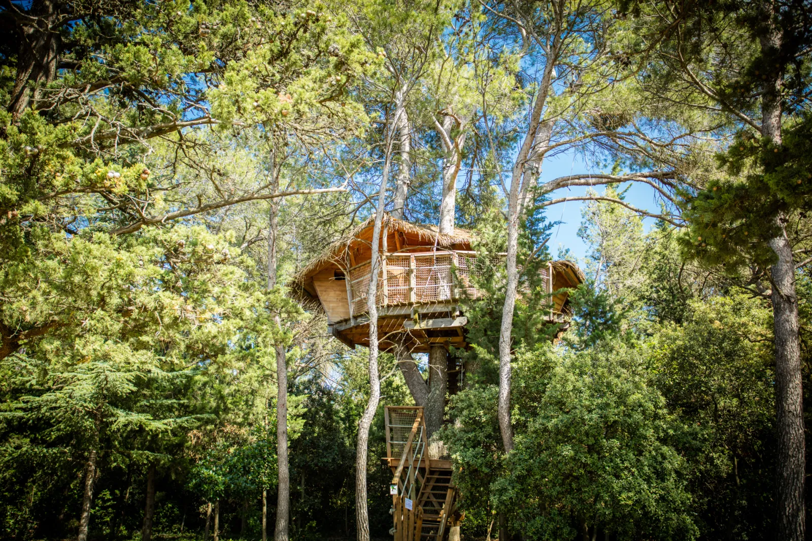 Cabane Tourterelle, cabane dans les arbres à Castries